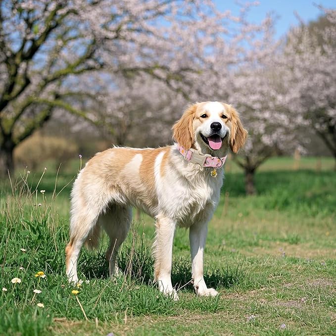 ARING PET Spring Summer Dog Collar, Cute Pink Bee Daisy Floral Pet Collars with Quick Release Buckle for Puppy Small Medium Large Boy Girl Dogs-S
