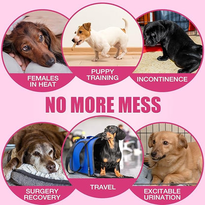 Dono Disposable Dog Diapers Female, Super Absorbent Doggie Diaper, Rapid-Dry Gel Technology Puppy Diapers, Leak-Proof Fit for Cat Doggy in Heat, Excitable Urination, Incontinence, Training, XX-Small