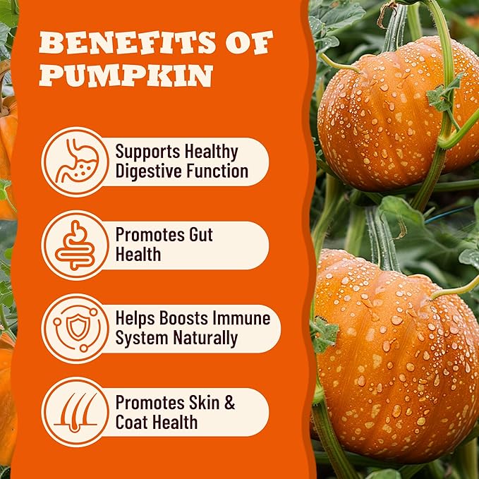 13.05oz Pumpkin Treats for Cat& Dog with Egg Yolk Creamy Core - Crunchy& Soft Cat Treats for Indoor Cats for Skin &Coat, Gut Health with Kitten Training Snacks