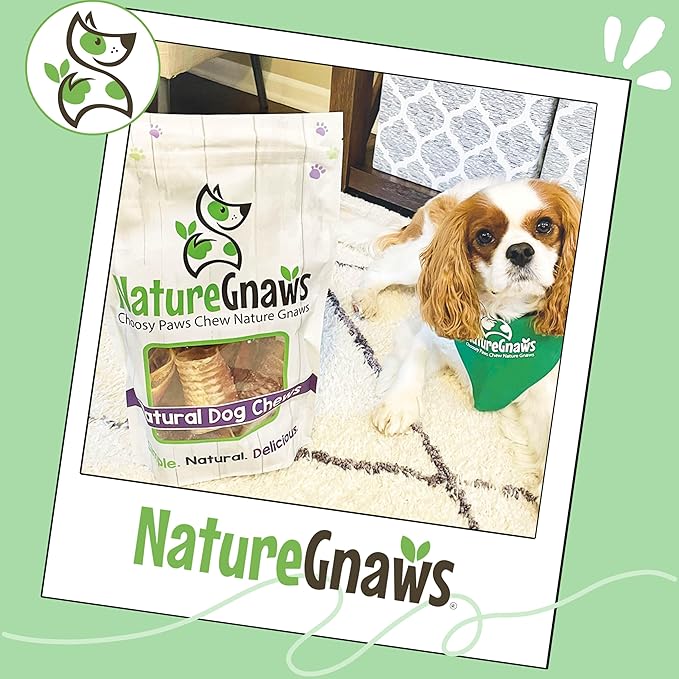 Nature Gnaws Beef Trachea Chews for Dogs 3" (12 Count) - Long Lasting Natural Crunchy Dog Chew Bones - Rawhide Free