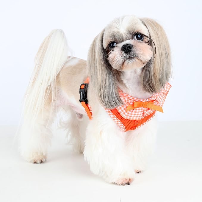 Puppia Vivien Dog Harness Over-The-Head All Season Cute No Pull No Choke Walking Training Adjustable for Small Dog, Orange, X-Small