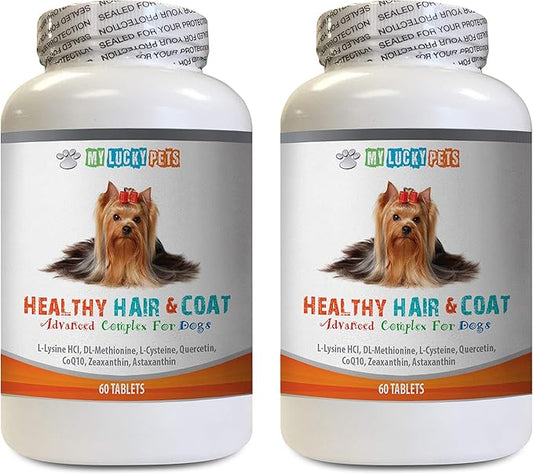 Itch Relief for Dogs with Allergies - Dog Healthy Hair and Coat - Shinny Coat - Skin Health - Immune Support - Nail Health - Dog lysine - 120 Treats (2 Bottles)