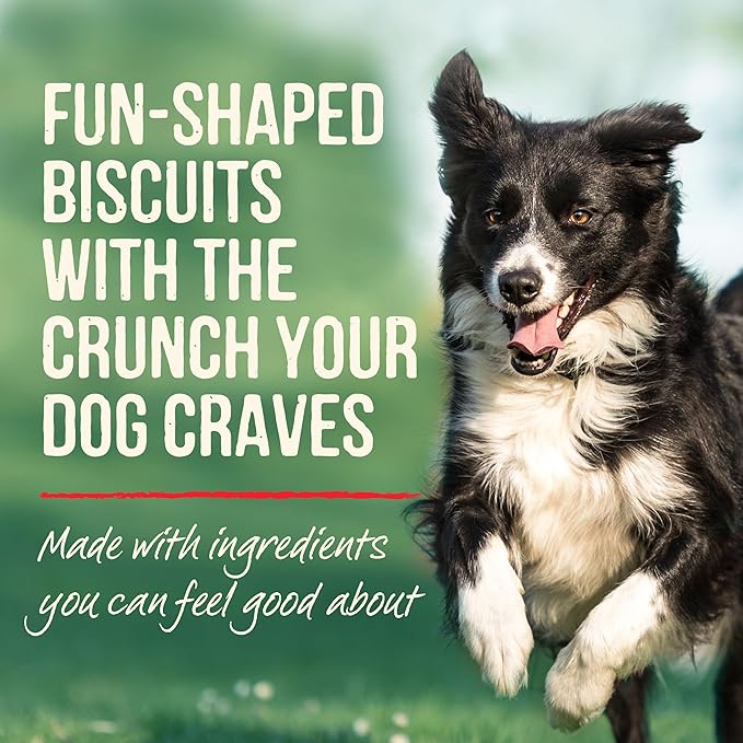 Merrick Oven Baked Dog Treats, Natural Cookies For Dogs, Paw’some P’nut Butter Cookie With Real Peanut Butter - 11 oz. Bag