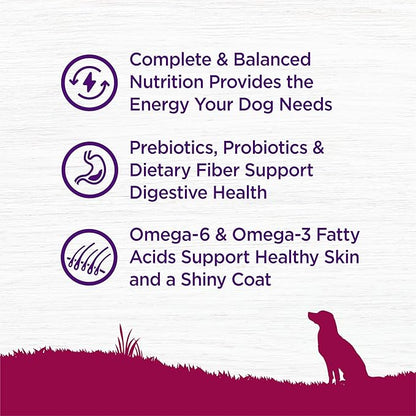 Wellness Complete Health Small Breed Adult Dry Dog Food, Wholesome Grain Kibble, Natural, Turkey and Oatmeal Recipe, 4 lb Bag