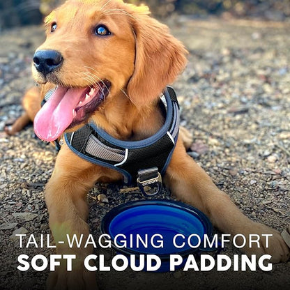Embark Adventure No-Pull Dog Harness for Large Dogs – Reflective Trim, Military-Grade Nylon, Front Clip with Gel-Lined Handle, Soft & Padded