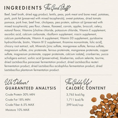 Fromm Four-Star Nutritionals Beef Frittata Veg Dog Food - Premium Dry Dog Food - Beef Recipe - 4 lb