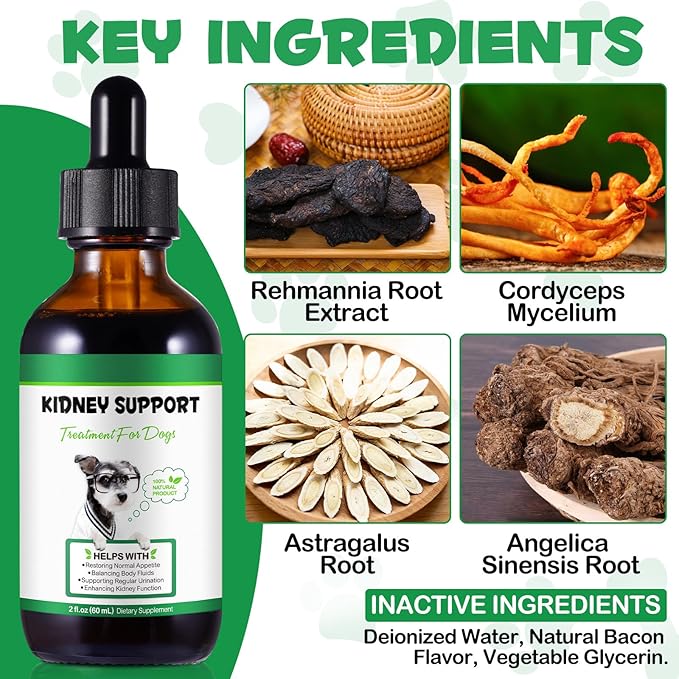 Kidney Support for Dogs, Kidney Support Herbal Supplement Drops Supports Healthy Kidney Function & Urinary Tract Health in Dogs Restoring Normal Appetite 2 oz