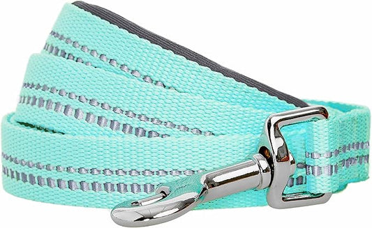 Blueberry Pet 3M Reflective Pastel Color Dog Leash with Soft & Comfortable Handle, 5 ft x 5/8", Mint Blue, Small, Leashes for Dogs