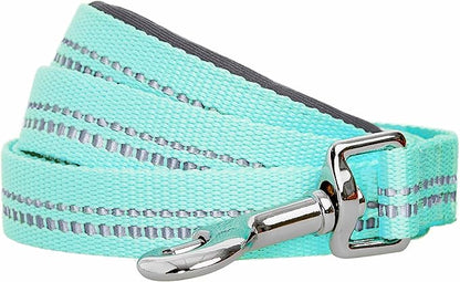 Blueberry Pet 3M Reflective Pastel Color Dog Leash with Soft & Comfortable Handle, 5 ft x 3/4", Mint Blue, Medium, Leashes for Dogs