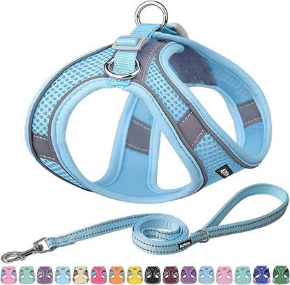 AIITLE Step in Dog Harness and Leash Set - No Pull Escape Proof Vest Harnesses with Soft Mesh and Reflective Bands, Adjustable Pet Outdoor Harnesses for Small and Medium Dogs Pure Blue M