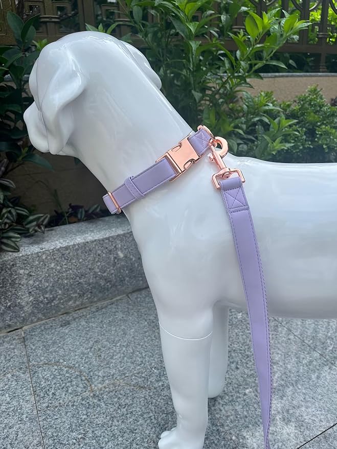 Dog Collar and Leash Set.Soft and Easy to Clean Vegan Leather with Rose Gold Metal Buckle for Small Medium Large Dogs (Light Purple, XS(8"-12"))