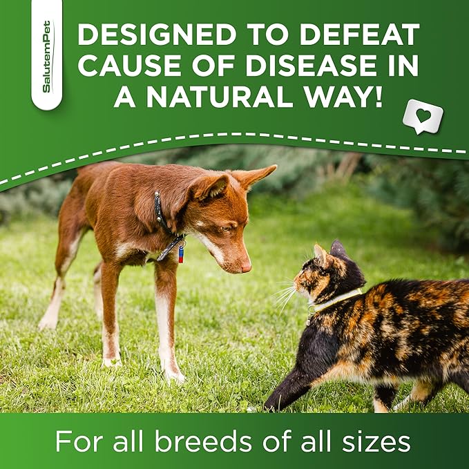 Dog Antibiotics Forte Health | Antibiotics for Cats | Herbal Supplement for All Breeds | for Easy Breathing | Digestion and Urination | Skin & Coat | Chicken Flavor | 2 Oz