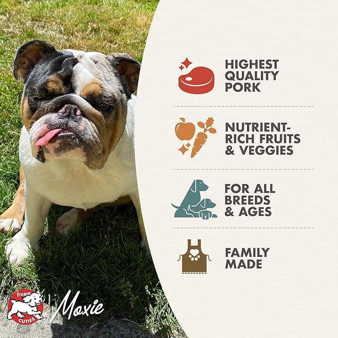 Fromm Four-Star Nutritionals Pork & Peas Dog Food - Premium Dry Dog Food - Pork Recipe - 12 lb