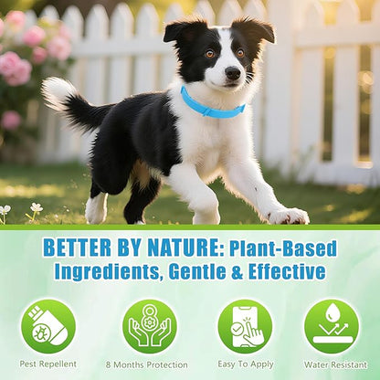 Natural Flea & Tick Prevention Dog Collars – 2-Pack Adjustable Waterproof Collars with Essential Oils (Lemon Eucalyptus, Citronella, Lavender, Linalool),Blue, Safe for All Breeds