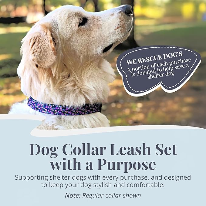 Lucky Love Dog Martingale Dog Collar & Leash - Adjustable, No-Slip, Durable, Comfortable, Soft Webbing, & Stylish Patterned Collar & Leash Set for Male and Female Dogs - Primrose Combo, Large