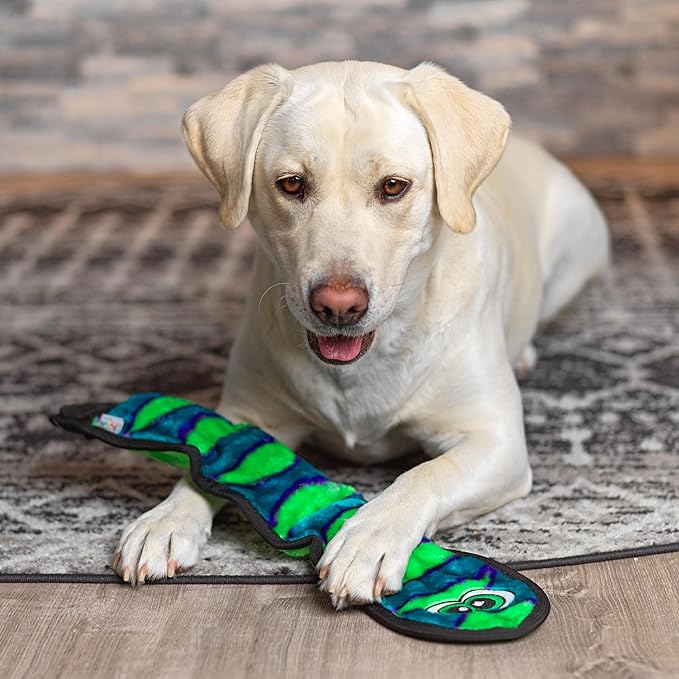 Outward Hound Durablez Large Snake Stuffing-Free Squeaky Plush Dog Toy for Puppies & Dogs - Interactive, Soft Yet Tough, No Mess, Jumbo Squeaker, Long-Lasting Play, 24.5 inch, Blue