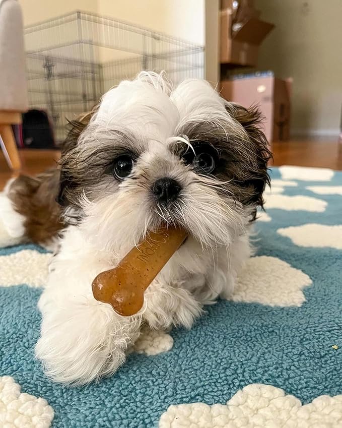 Nylabone Puppy Chew Teething Bone, Toys for Teething Puppies, Chicken Flavor, Medium, Up to 35 Ibs, 1 Count