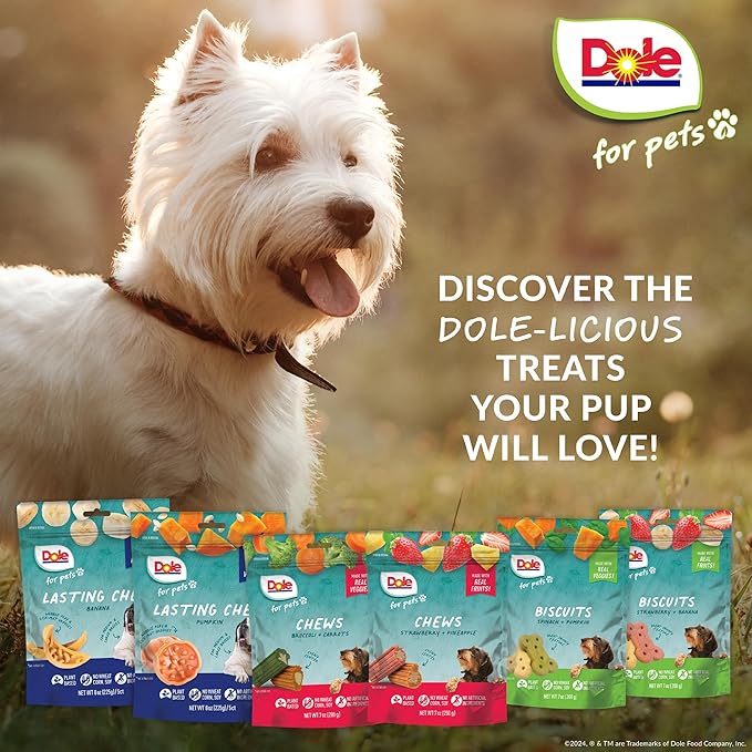Dole for Pets Dog Biscuits Assorted Spinach + Pumpkin Mix, Real Vegetable Flavor Vegan Crunchy Treats, No Wheat Corn Soy or Artificial Additives, Bite Size Training Snacks for Dogs, 7 Oz