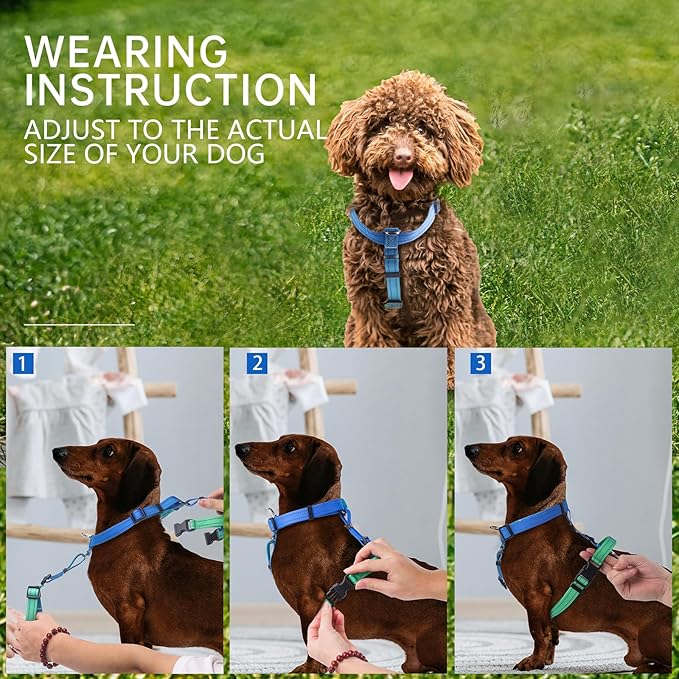 Roses&Poetry Dog Harness for Large Dogs, 6 Point Adjustable Fit No Pull Harness with Handle for Control and Easy Walking, Reflective Pet Halter Harnesses（Bluegreen-L）
