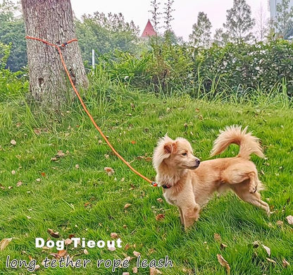 30FT Dog Tie Out Leash, Long Tether 8-10-13-15-20-25-35-40-50-65 FT Nylon Rope Check Cord for Medium Large Dogs Indoor/Outdoor Playing Camping Backyard (Black, 3/8")