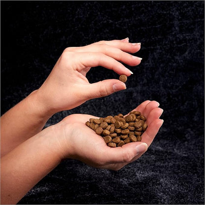 CRAVE Grain Free High Protein Adult Dry Dog Food, Beef, 4 lb. Bag