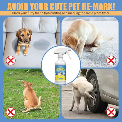 16oz Dog Behavior Correction Spray - Dog Not Here Pee - Training Aid Spray for Dogs - Easy-to-Use Spray for Marking Habits, Help Dogs Stop Marking in Your Home