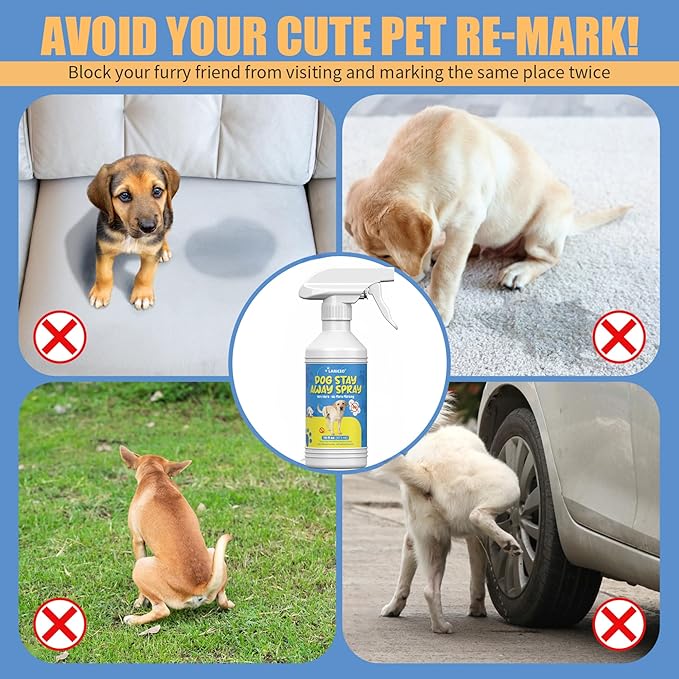 16oz Pet No More Marking for Indoors & Outdoor - Dog Not Here Pee - Pet Training Spray for Dogs - Keep Your Home Clean and Fresh