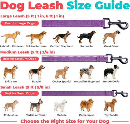 Best Pet Supplies Voyager Reflective Dog Leash or Collar with Neoprene Handle, for Small, Medium, and Large Breed Puppies, Cute and Heavy Duty for Walking, Running and Training - Purple (Leash), M