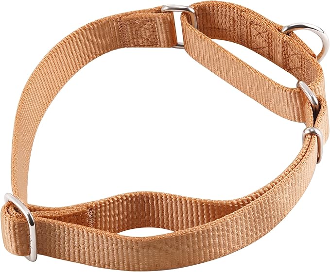 Hyhug Martingale Collar for Dogs Extra Large Clay |Escape - Proof Heavy Duty Nylon Durable No Pull, Ideal for Training & Daily Walks