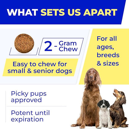 Vet Approved Probiotics & Digestive Enzymes for Dogs | Gut Health & Digestive Function Support | Pumpkin & Omega | Diarrhea, Seasonal Allergies & Itching | Prebiotic Supplement Chew (Pack of 2)