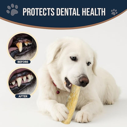 Set of 2 Coffee Wood Dog Chew Stick Toy, Natural and Real Wooden Bone Sticks, Safe Dental Cleaning Chews, Pet Health, Teeth Cleaning and Relieve Stress (Set 2 for Medium Dog)