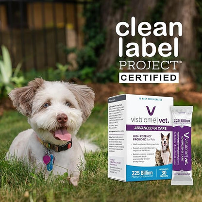 Visbiome® Vet Advanced GI Care High Potency Probiotic for Dogs & Cats – 225B CFU, 8-Strain Formula – Refrigerated, Veterinarian Recommended, Clean Label Certified – 60 Packets