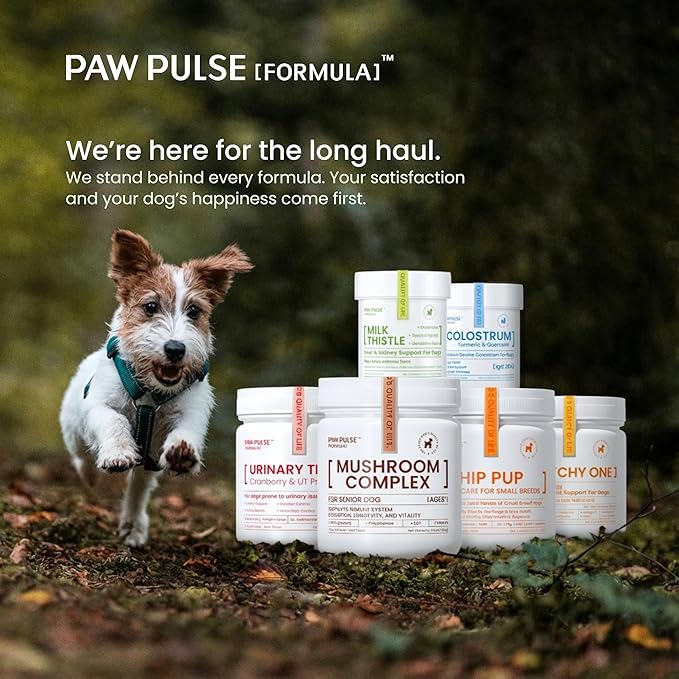 PAWPULSE FORMULA Dog Allergy Relief Chews, Itching Skin Relief for Yeast, Redness and Hotspots, Support Immune and Seasonal Allergy with Probiotics & Omega-3, 90 Chews