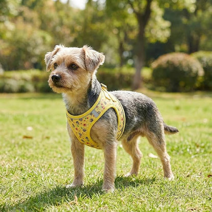 Mihqy Step in Dog Harness and Leash Set, Reflective Adjustable No Pull Dog Harness for Extra-Small/Small Dogs Puppy and Cats, Soft Padded Mesh Vest Harnesses for Girl and Boy Pets(Bee,S)