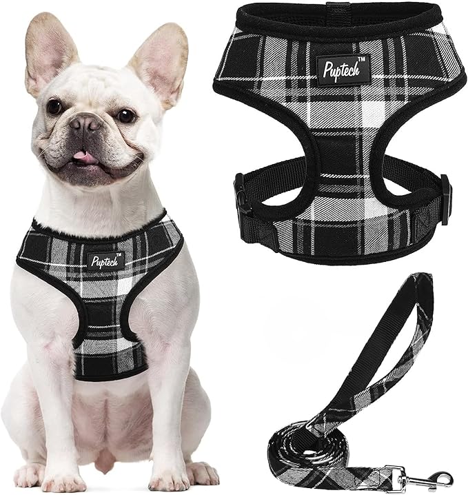 PUPTECK Soft Mesh Dog Harness and Leash Set Pet Puppy Cat Comfort Padded Vest No Pull Harnesses, Black, S