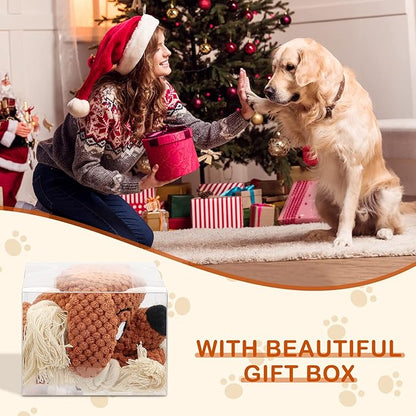 Letsmeet Dog Toys,Squeaky Dog Chew Toy with Crinkle Paper,Interactive Tough Plush Rope Toys for Small Medium Large Dogs with Gift Boxes