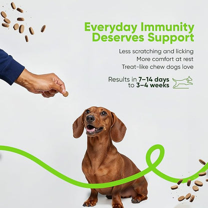 SNIFF N CHOMP Dog Allergy Chews, Chicken Flavor, Probiotics for Dogs with Quercetin Omega 3 Zinc, Seasonal Allergy Relief, Immune Support Soft Chews, Probióticos para Perros | 90 Soft Chews