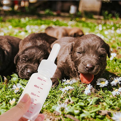 COHEALI 3Pcs Small Plastic Pet Nursing Bottles with Supple Pointed Nipples Portable Milk Feeders for Newborn Puppies and Kittens Reusable Clean Feeding Bottles with Clear Scale Lines