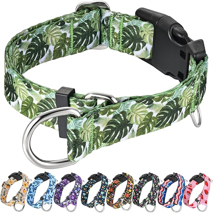 Martingale Collar for Dogs with Buckle Adjustable Nylon Tropical Slip No Pull Training Dog Collars (Palm Leaf, Large)