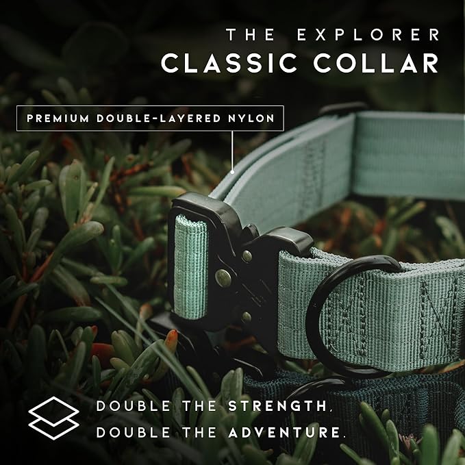 Made to ROAM Premium Explorer Control Collar - Adjustable Heavy Duty Nylon Dog Collar with Quick-Release Metal Buckle and Handle (Maine Marina, Control Size 3)