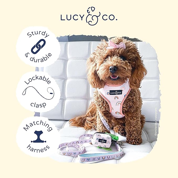 Lucy & Co. 5 Foot Designer Dog Leash - Best for Big, Small, or Medium Dogs - Puppy Leash - Cloud, Large