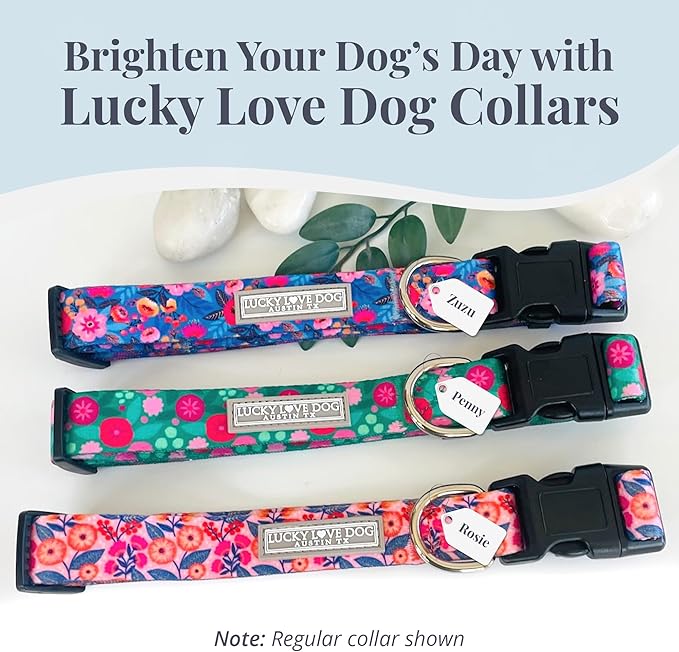 Lucky Love Dog Martingale Dog Collar & Leash - Adjustable, No-Slip, Durable, Comfortable, Soft Webbing, & Stylish Patterned Collar & Leash Set for Male and Female Dogs - Rosie Combo, Large