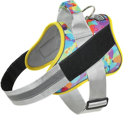 Bolux Dog Harness, No-Pull Reflective Dog Vest, Breathable Adjustable Pet Harness with Handle for Outdoor Walking - No More Pulling, Tugging or Choking (X-Small (Pack of 1), Watercolour)