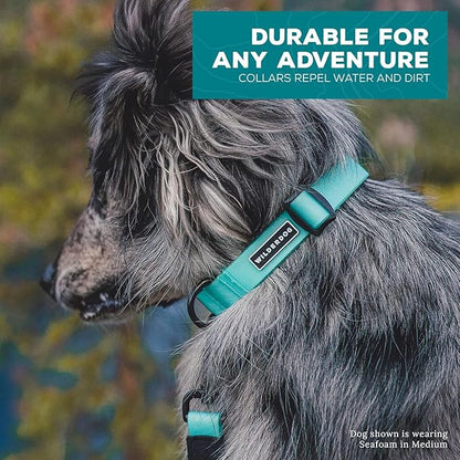 Wilderdog Waterproof Dog Collar - Repels Water & Dirt - Medium 13in -18in - Plum