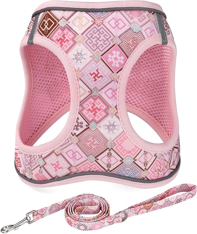 Mihqy Step in Dog Harness and Leash Set, Reflective Adjustable No Pull Dog Harness for Extra-Small/Small Dogs Puppy and Cats, Soft Padded Mesh Vest Harnesses for Girl and Boy Pets(Pink Grid,XS)