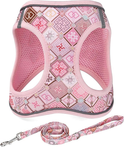 Mihqy Step in Dog Harness and Leash Set, Reflective Adjustable No Pull Dog Harness for Extra-Small/Small Dogs Puppy and Cats, Soft Padded Mesh Vest Harnesses for Girl and Boy Pets(Pink Grid,S)