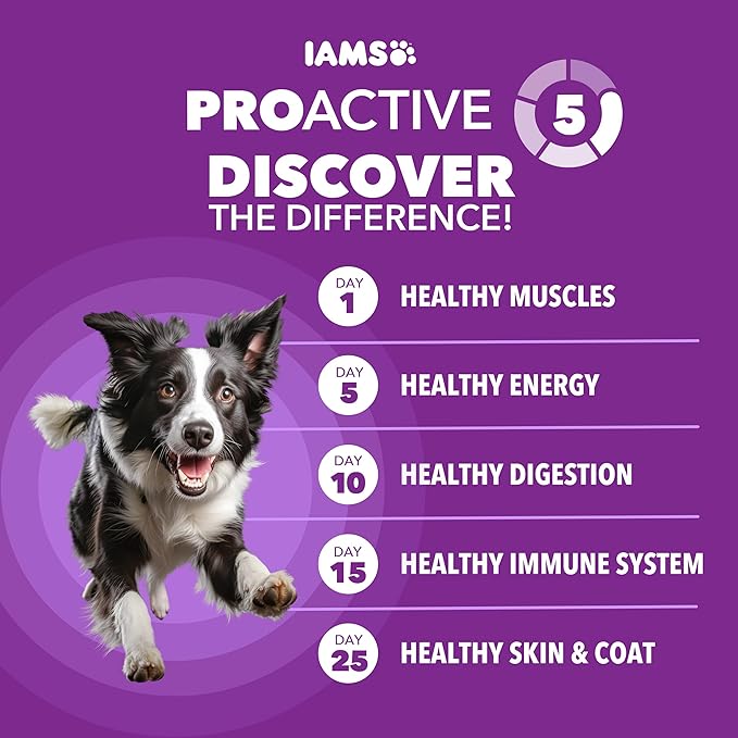 IAMS Advanced Health Healthy Digestion Adult Dry Dog Food with Real Chicken, 4.5 lb. Bag