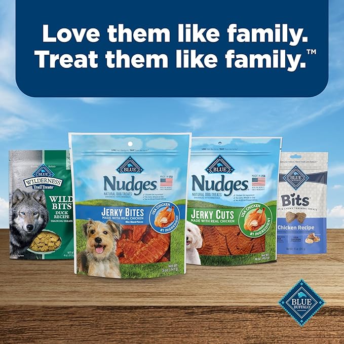 Blue Buffalo Nudges Jerky Bites Dog Treats, Made in The USA with Natural Ingredients, Bite-Sized Pieces, Chicken, 5-oz Bag (Pack of 2)