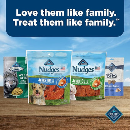 Blue Buffalo Nudges Jerky Bites Dog Treats, Made in The USA with Natural Ingredients, Bite-Sized Pieces, Chicken, 5-oz Bag (Pack of 2)