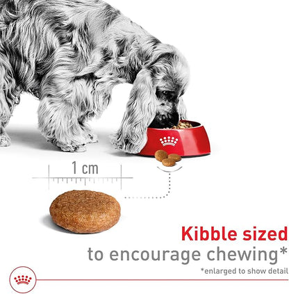 Royal Canin Size Health Nutrition Medium Adult Dry Dog Food, 17 lb Bag